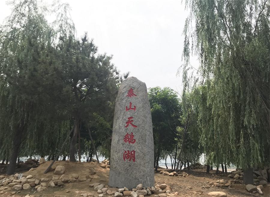 天鵝湖風(fēng)景區(qū)（泰山）速覽！(圖12)