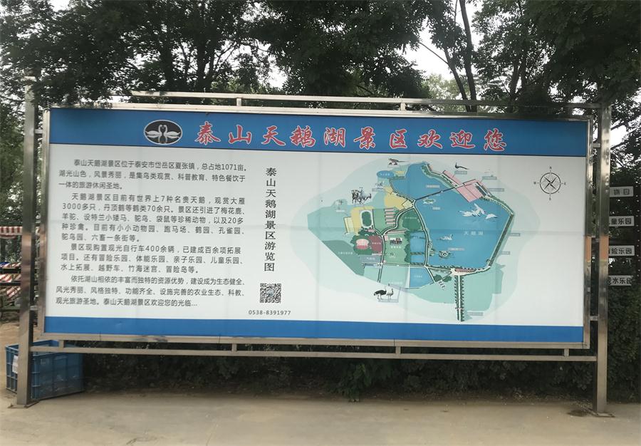 天鵝湖風(fēng)景區(qū)（泰山）速覽！(圖2)