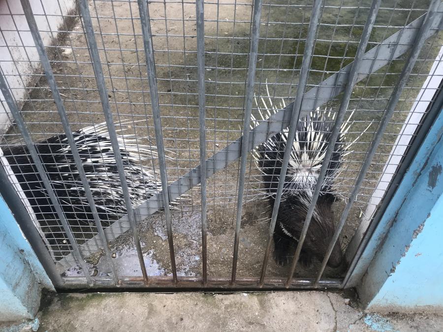 天鵝湖風(fēng)景區(qū)（泰山）速覽！(圖10)