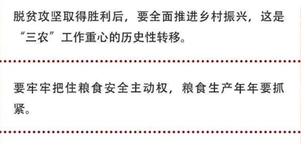 2020年中央農(nóng)村工作會(huì)議精神速覽！(圖2)