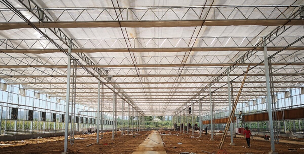 信橋鋼構(gòu)：打卡蒙陰農(nóng)業(yè)溫室大棚、青州黑牛養(yǎng)殖基地！(圖3)