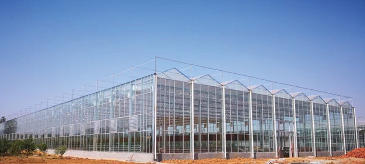 信橋鋼構(gòu)：打卡蒙陰農(nóng)業(yè)溫室大棚、青州黑牛養(yǎng)殖基地！(圖2)